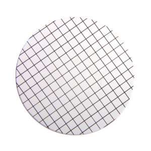   Membrane Filter with White Gridded, 47mm OD, 0.22 Micron (Pack of 100