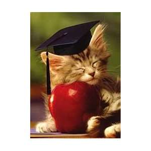  Kitten and Apple Graduation Card 