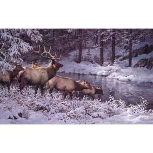 Persis Clayton Weirs   Snowy Crossing   Elk 