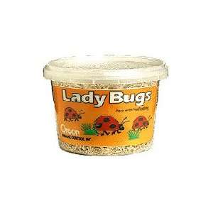  Ladybugs 4500   Half Pint