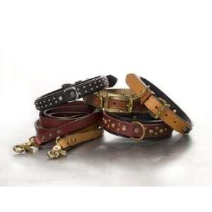   Overlay Dog Collar Size 12 16, Color Black with Tan