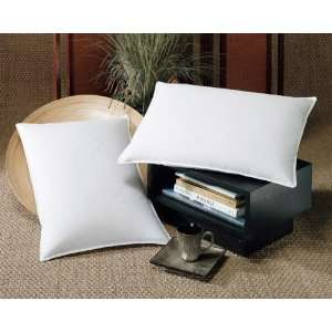  Downlite 12 x 18 95/5 Goose Feathers & Down Pillow Insert 