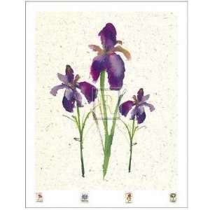  Irises Poster Print