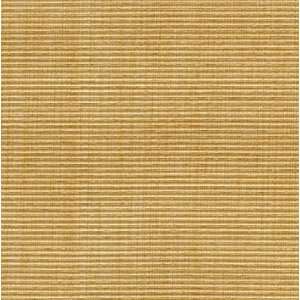  31110 40 by Kravet Smart Fabric