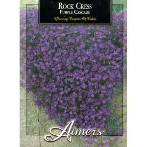  Aimers 3262 Rockcress Purple Cascade Seed Packet Patio 