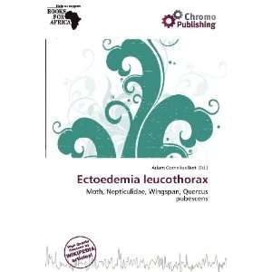    Ectoedemia leucothorax (9786138436188) Adam Cornelius Bert Books