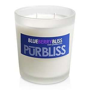  Blueberry Bliss Soy Candle   Medium Jar 
