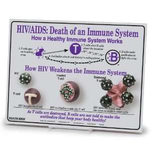   Death of an Immune System Easel 3D Display, 12 Length x 9 Height