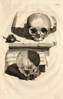 Antique Medical Print SKULL MUSIC Cowper Bidloo 1739  