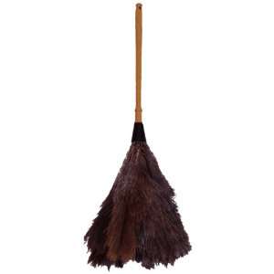 Zephyr 46100 Ostrich Feather Duster, 12 Length (Pack of 12)  