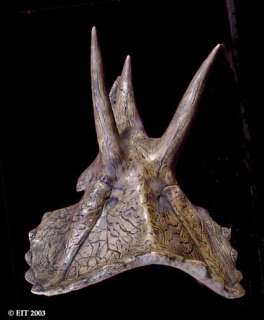   Accurate Museum Quality 1/10 Scale DETALED Model of TRICERATOPS SKULL