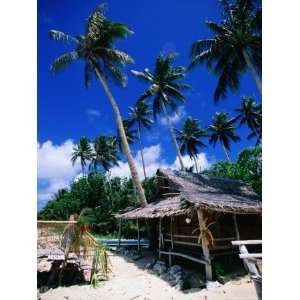 Thatched Hut on Beach, Yap Island, Yap State, Micronesia Photographic 