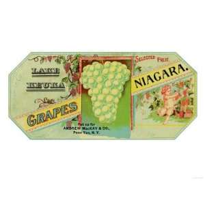 Penn Yan, New York   Lake Keuka Niagara Grapes Label, Laureled Child 