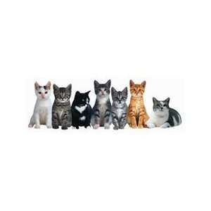  Row of Kittens Bookmark