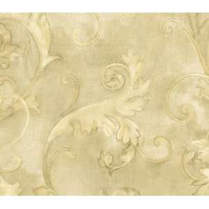  Cream Scroll Wallpaper TB52204