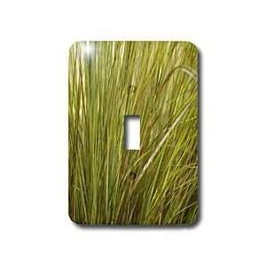  Florene Nature   Wild Grass   Light Switch Covers   single 