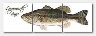 LARGEMOUTH BASS Glass Tile Mural 18x6 FISH/KITCHEN/BATH  