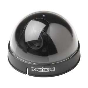  1/3 CCD B&W Dome Cameras With 4 8mm Varifocal Le