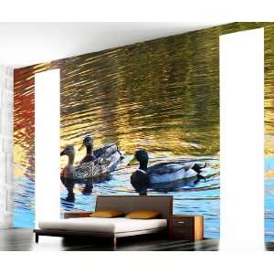  Wall Mural Decal Sticker Three Ducks in the Park Lake 
