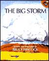   The Big Storm by Bruce Hiscock, Aladdin  Hardcover