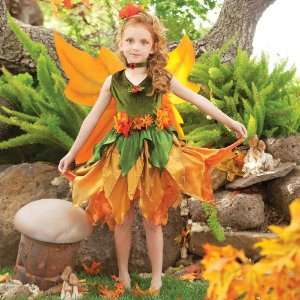  Lets Party By Princess Paradise Fall Fairy Child Costume 