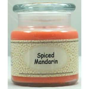  Long Creek Candles   16 oz Spiced Mandarin Everything 