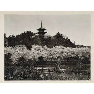   Bridge Pagoda Tokyo Japanese   Original Photogravure