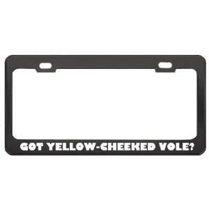Got Yellow Cheeked Vole? Animals Pets Black Metal License Plate Frame 