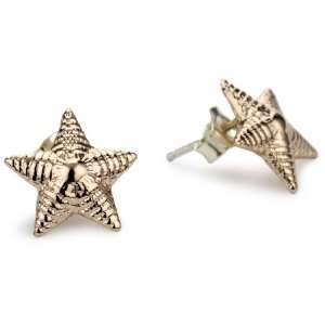 Bing Bang Night Sky North Star Rose Gold Stud Earrings