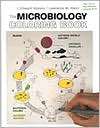 Microbiology Coloring Book, (0060419253), I. Edward Alcamo, Textbooks 