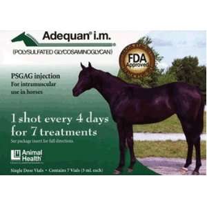  Adequan Equine 500mg/ml 5 mL