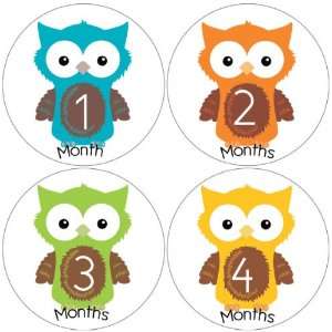  Owl Baby Month Stickers for Bodysuit #32 Baby