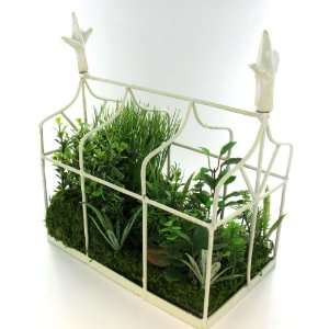   Iron Greenhouse Green House Artificial Plants White