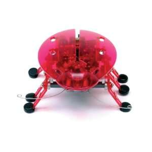  Echo Hexbug Robotic Toy Toys & Games