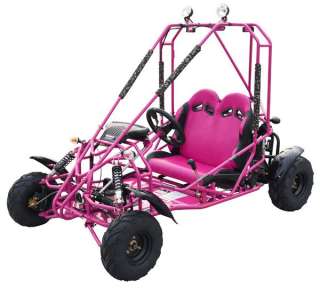 SPIDER 110cc Youth Go Kart Dune Buggy Automatic w/ Reverse FREE SHIP 