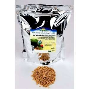 Soft White Wheat   Organic   2.5 Lbs. Resealable Bag   Perfect for 