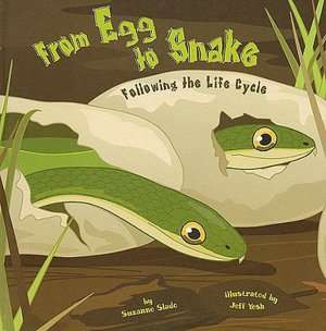   From Egg to Snake Following the Life Cycle by 