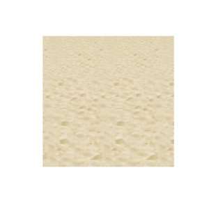  Beach Backdrop 4ft. x 30ft. Pkg/6