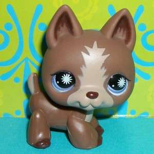 Littlest Pet Shop~#867 CHOCOLATE BROWN GERMAN SHEPHERD PUPPY DOG~F144 