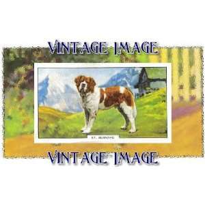   10cm) Art Greetings Card Dogs St Bernard Vintage Image