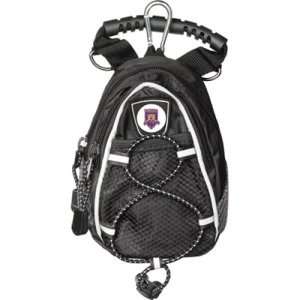 Weber State Wildcats NCAA Mini Day Pack