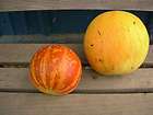 Melon   Tigger   Heirloom   Organic   NO HMO   30 Seeds