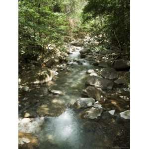 Rincon De La Vieja National Park at Foot of Rincon Volcano, Gaunacaste 