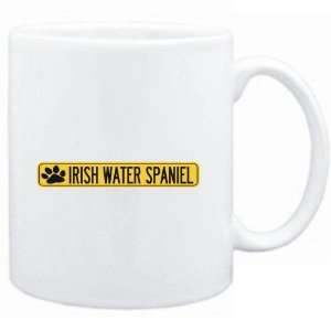    Irish Water Spaniel PAW . SIGN / STREET  Dogs