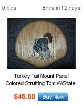 TURKEY TAIL MOUNT PANEL COLORED STRUTTING TOM W/STATE  