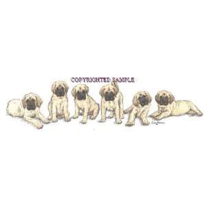  Mastiff   Puppies in a Row by Cindy Farmer