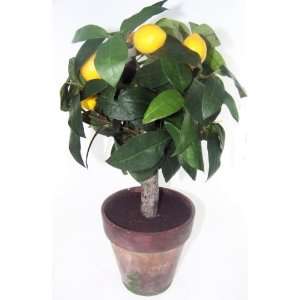  Lemon Tree Plant Artificial