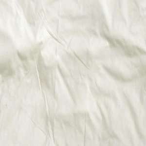  60 Wide Shabby Chic Dupioni Silk Ivory Fabric By The 