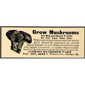 1908 Ad Mushrooms Grow Plant Profit Farm Instructions   Original Print 