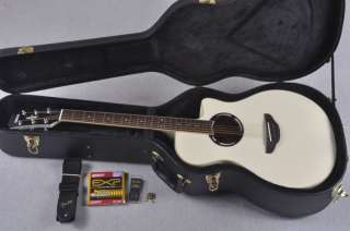   ® APX 500 Acoustic Electric Guitar Ultimate Package   APX500  